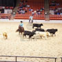 Houston Livestock Show And Rodeo