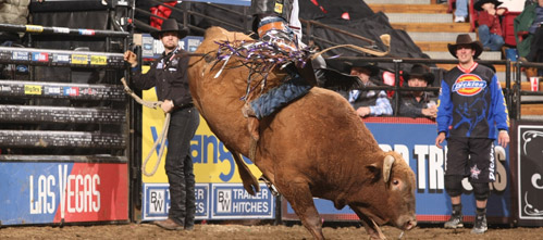 PBR - Professional Bull riders Tickets